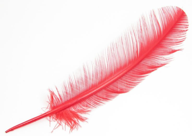 Burnt Turkey Quill Feather (Pack of 5)