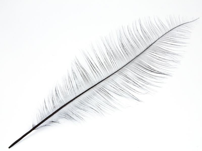 Burnt Ostrich Chick Feather (Pack of 5)