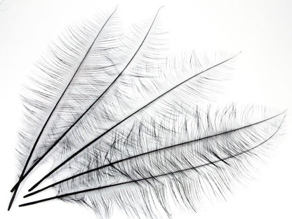 Burnt Ostrich Chick Feather (Pack of 5)