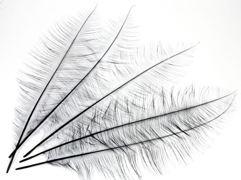 Burnt Ostrich Chick Feather (Pack of 5)