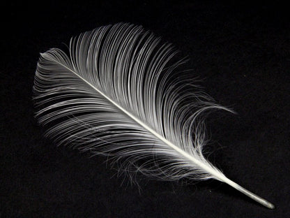 Burnt Goose Nagoire Feather (Pack of 10)