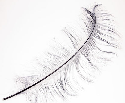Burnt Ostrich Prime Wing Feathers