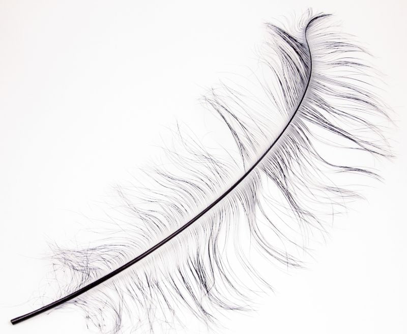 Burnt Ostrich Prime Wing Feathers