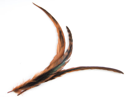 Long Chinchilla Coque Fringe - Dancewear colours