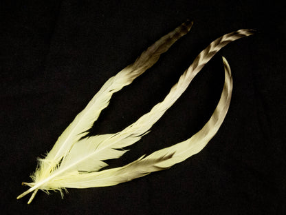 Long Chinchilla Coque Fringe - Dancewear colours