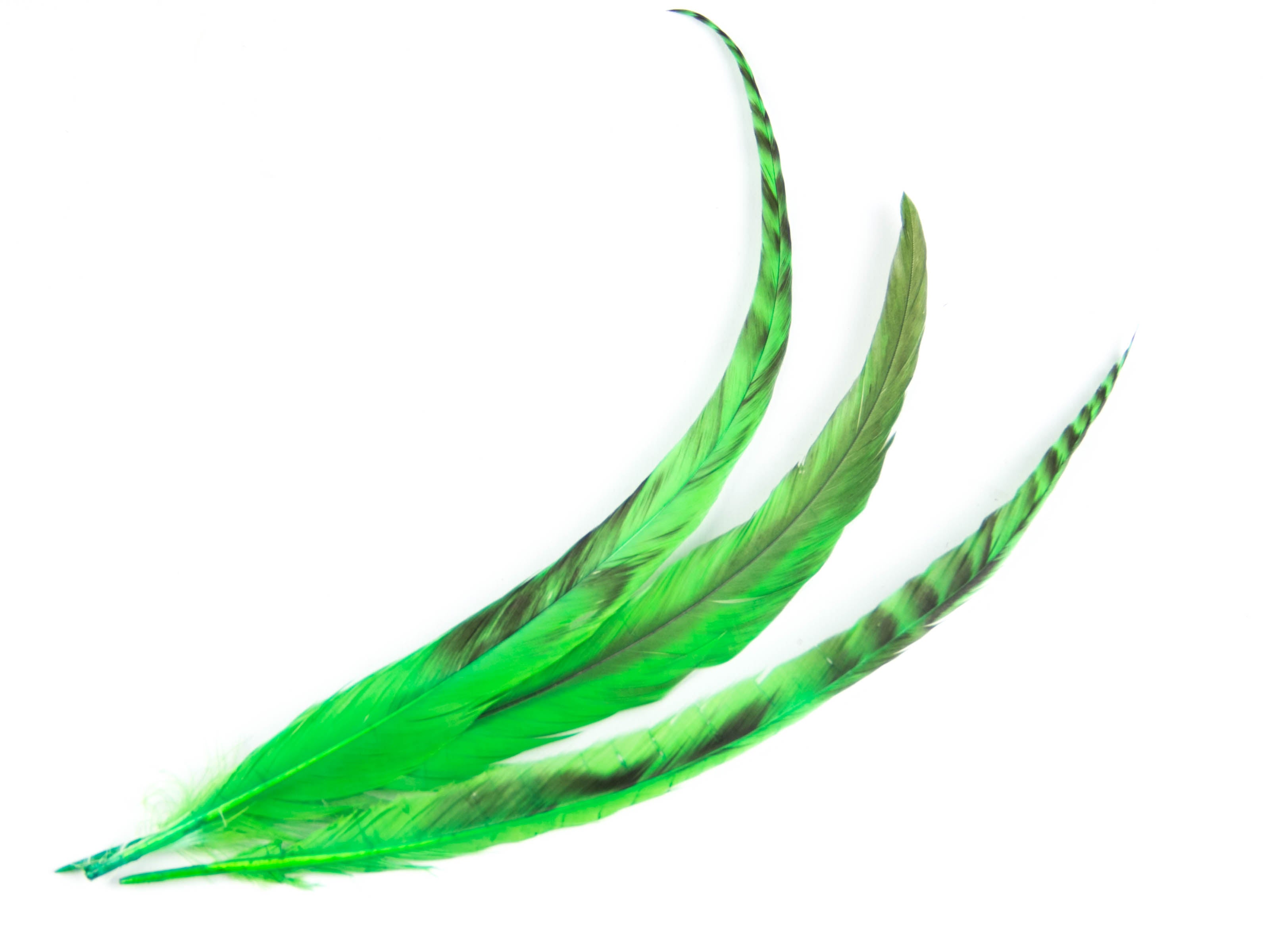 Long Chinchilla Coque Fringe - Dancewear colours