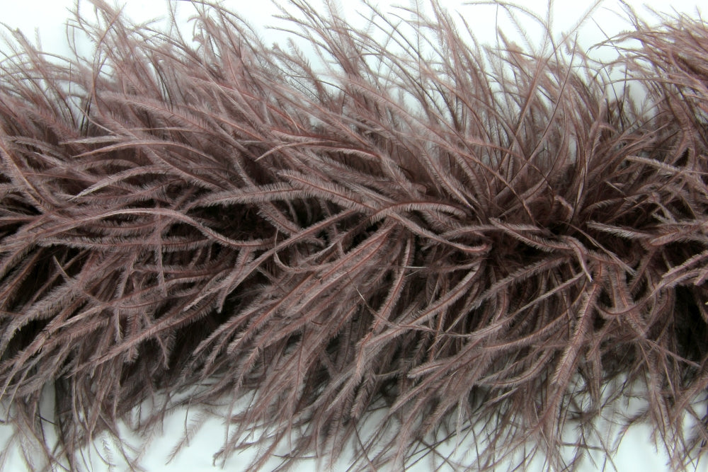 Ostrich Feather Boa with Stripped Coque - Fashion Colours