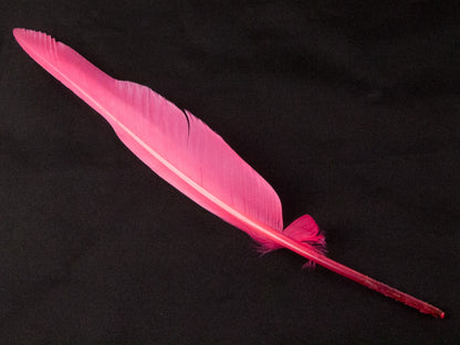 Authentic Goose Quill Pen