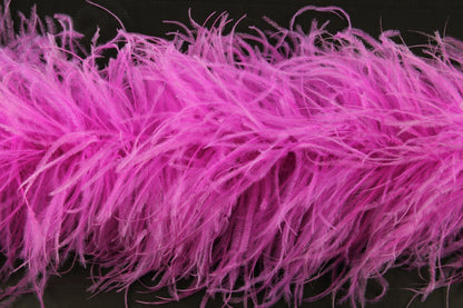 Ostrich Feather Boa with Stripped Coque - Dancewear Colours
