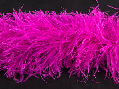 Ostrich Feather Boa with Stripped Coque - Dancewear Colours