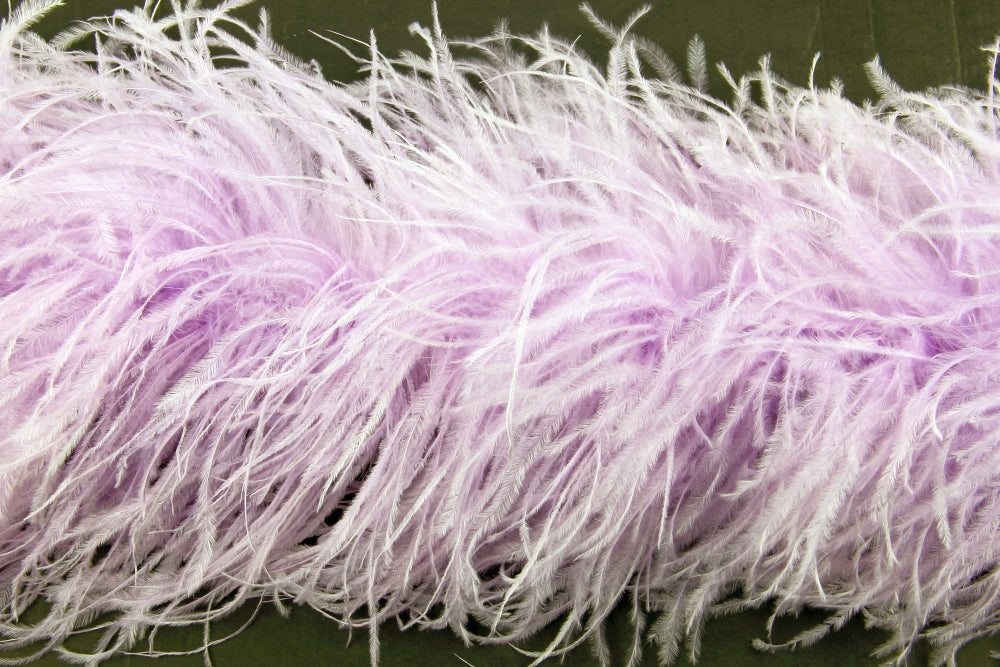 Ostrich Feather Boa with Stripped Coque - Dancewear Colours