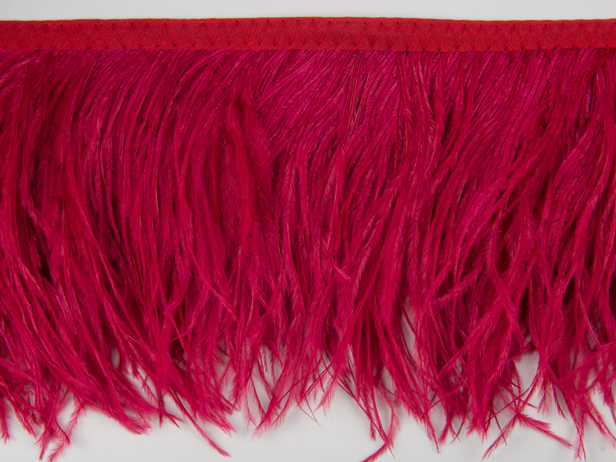 2 Ply Ostrich Feather Fringe 10 cm depth - Fashion Colours