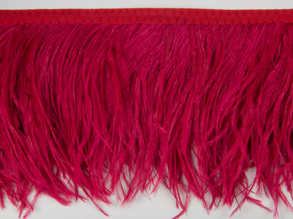 2 Ply Ostrich Feather Fringe 10 cm depth - Fashion Colours