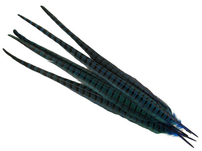 Ringneck Pheasant Centre Feather Dyed (Pack of 5)
