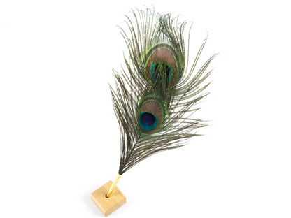 Peacock Feather Pens (Pack of 10)