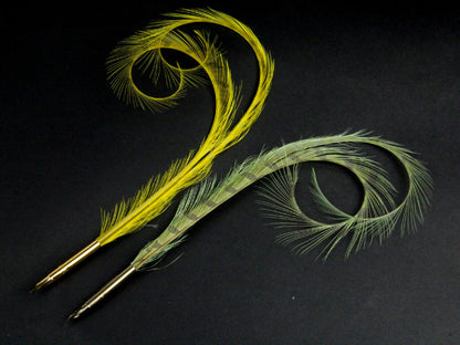 Curled and Burnt Pheasant Feather Pens