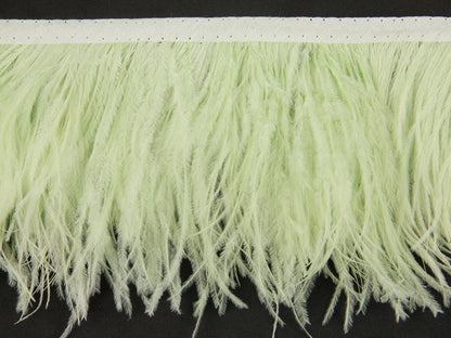 2 Ply Ostrich Feather Fringe 10 cm depth - Fashion Colours