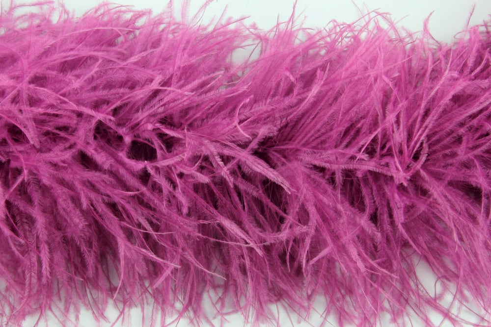Ostrich Feather Boa with Stripped Coque - Fashion Colours