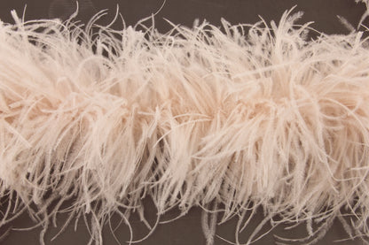 Ostrich Feather Boa with Stripped Coque - Fashion Colours