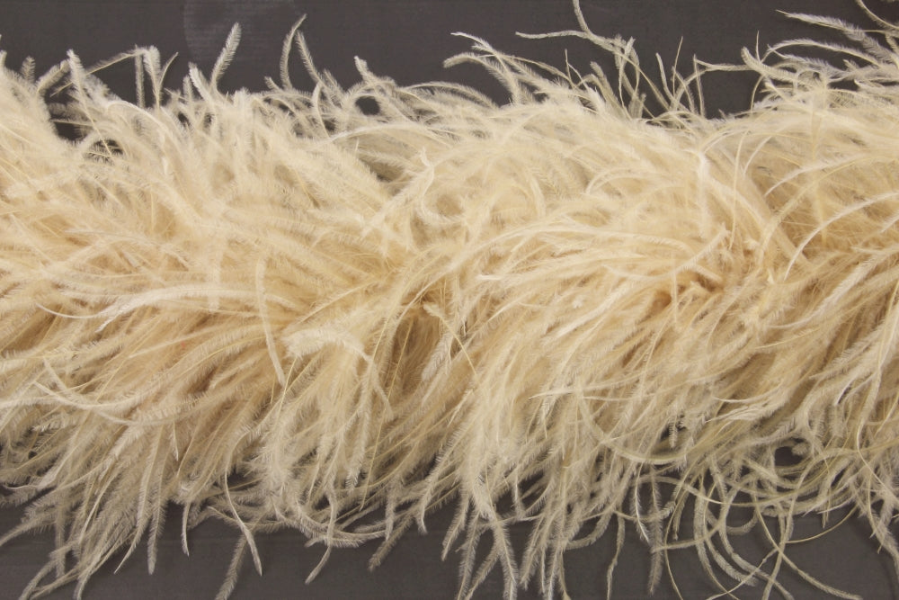 Ostrich Feather Boa with Stripped Coque - Fashion Colours