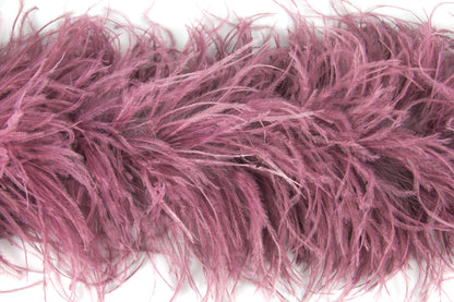 Ostrich Feather Boa with Stripped Coque - Fashion Colours