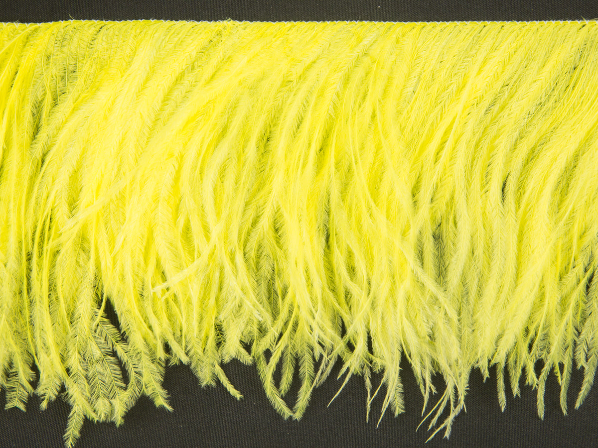 2 Ply Ostrich Feather Fringe (10cm depth) - Dancewear Colours
