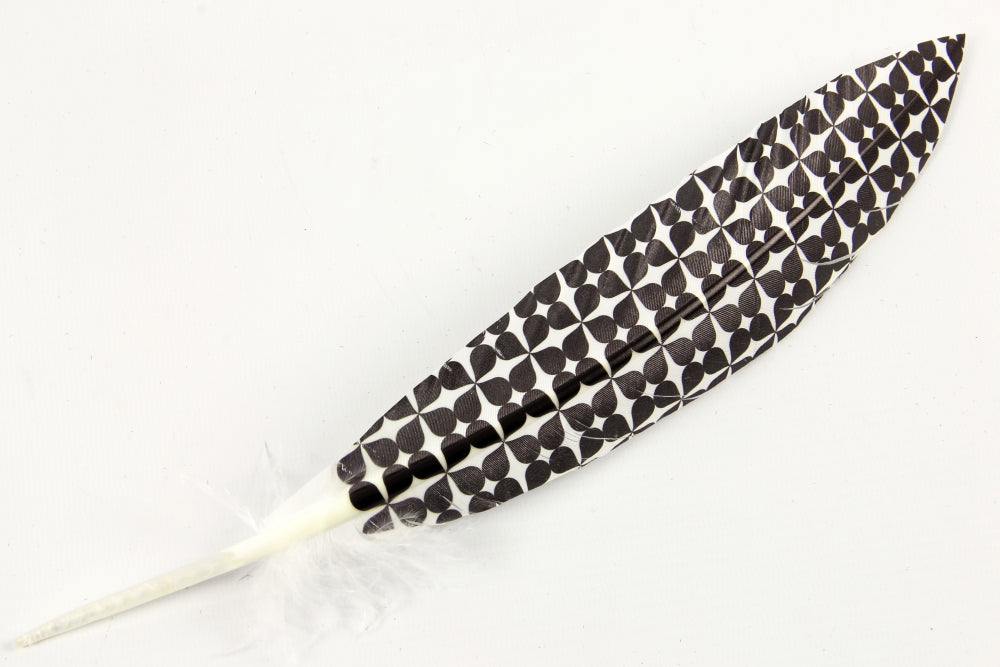 Print Pattern Trimmed Turkey Quill (Pack of 3)