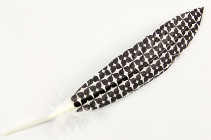 Print Pattern Trimmed Turkey Quill (Pack of 3)