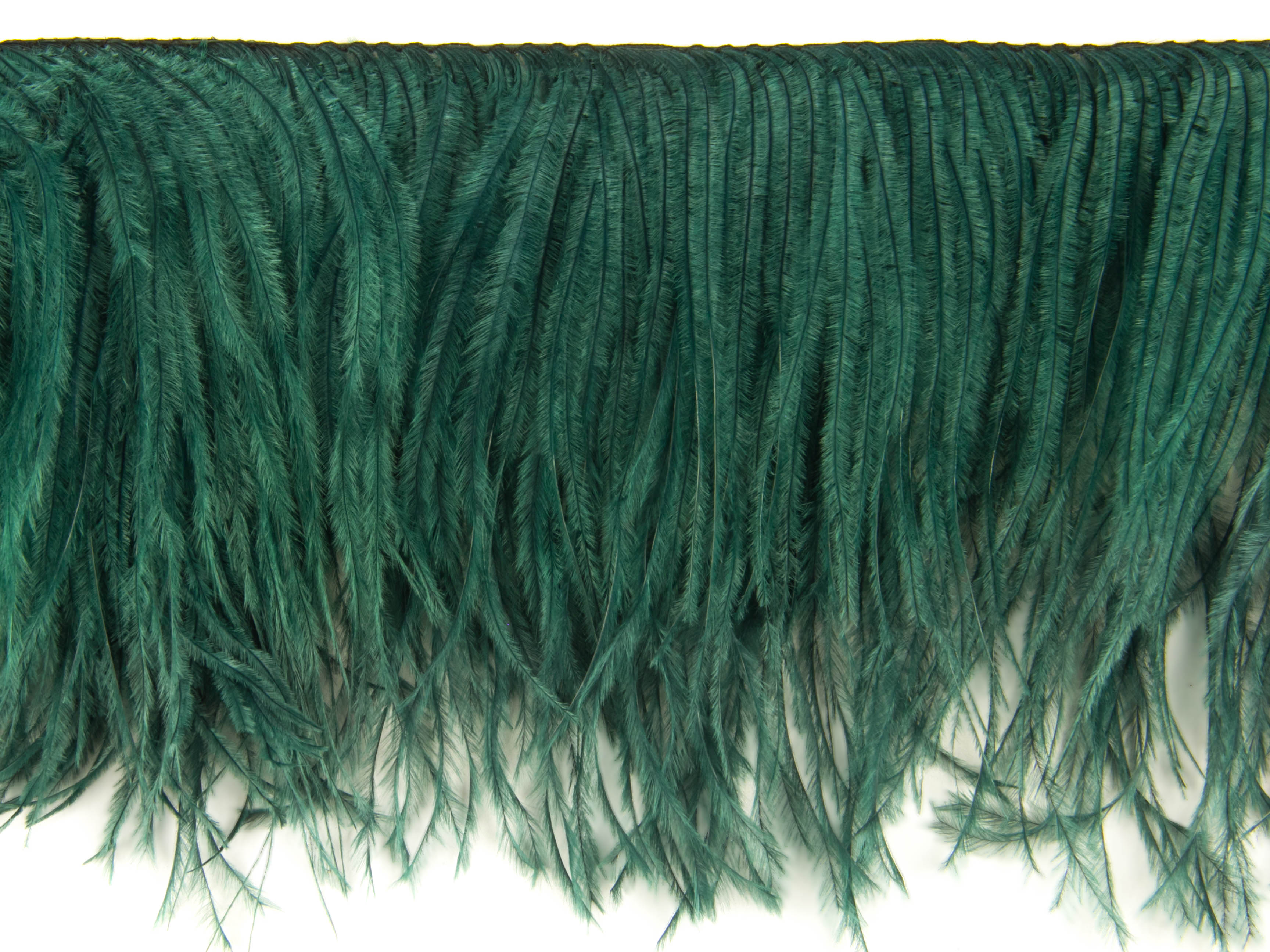 2 Ply Ostrich Feather Fringe (10cm depth) - Dancewear Colours