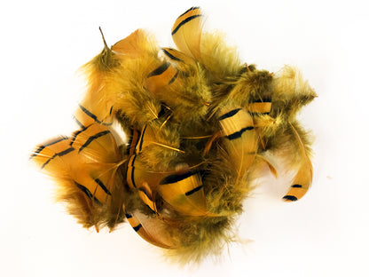 French Partridge Fringe