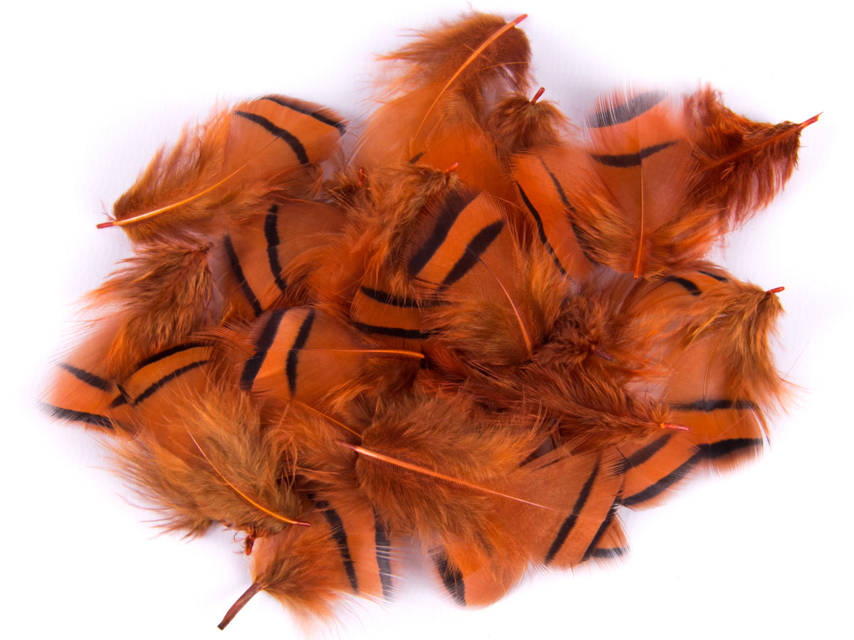 French Partridge Fringe
