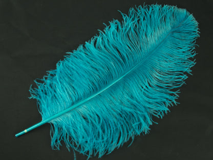Ostrich Prime Wing Feather (50-65cm)