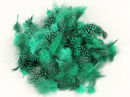 Guinea Fowl Fringe