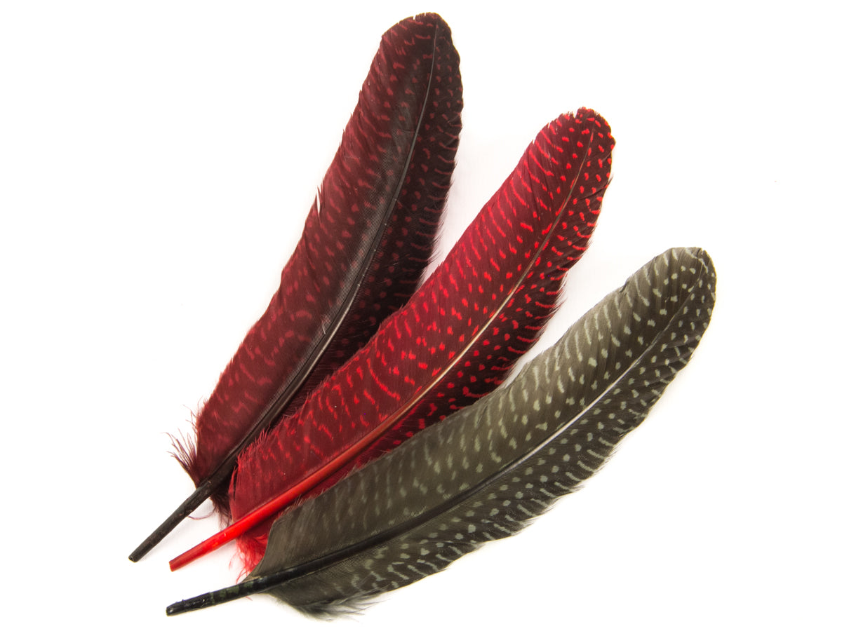 Dyed Guinea Fowl Quill (Pack of 10)