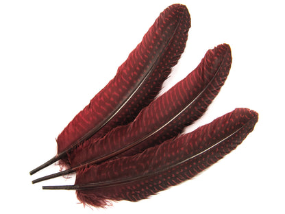 Dyed Guinea Fowl Quill (Pack of 10)