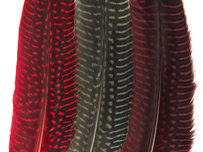 Dyed Guinea Fowl Quill (Pack of 10)