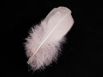 Bulk Goose Nagoire Feathers
