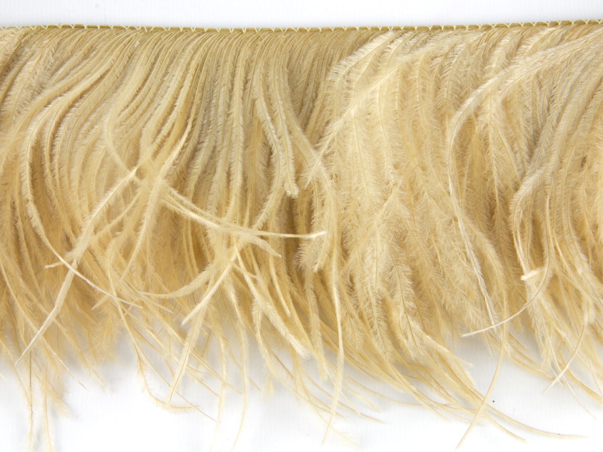 2 Ply Ostrich Feather Fringe (10cm depth) - Dancewear Colours