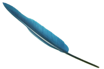 Bulk Goose Quill Feather