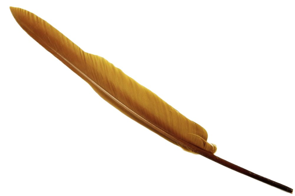 Bulk Goose Quill Feather