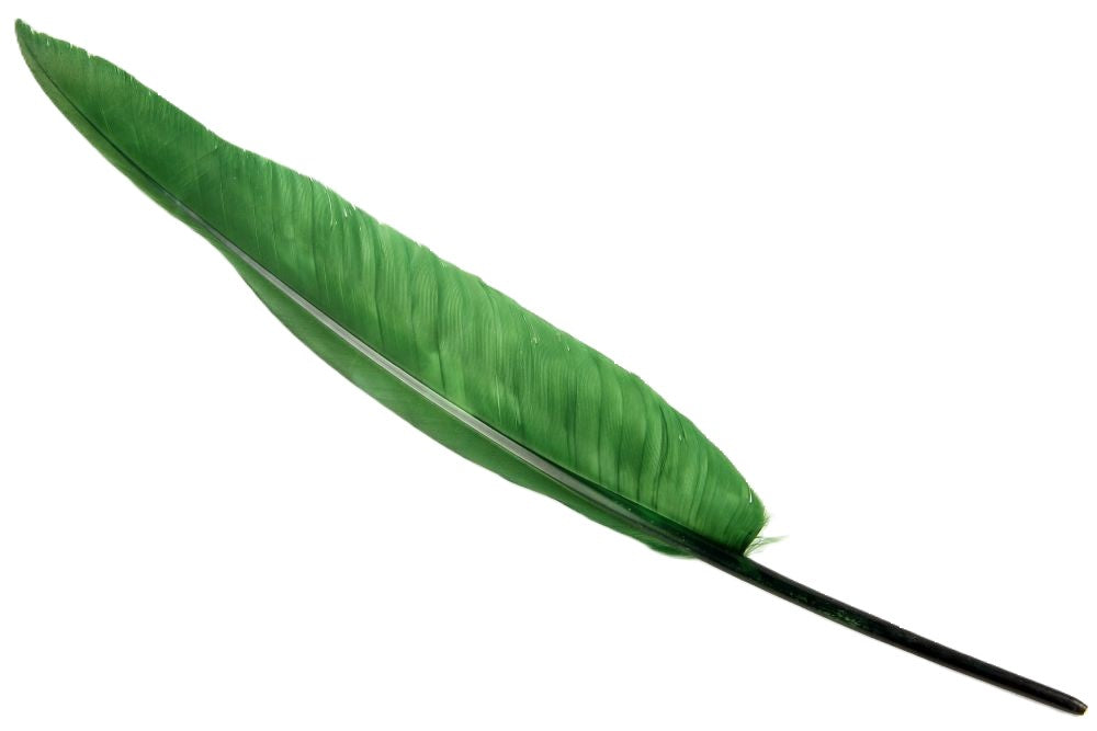 Bulk Goose Quill Feather