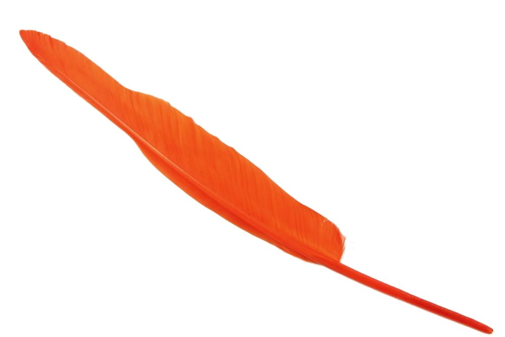 Bulk Goose Quill Feather