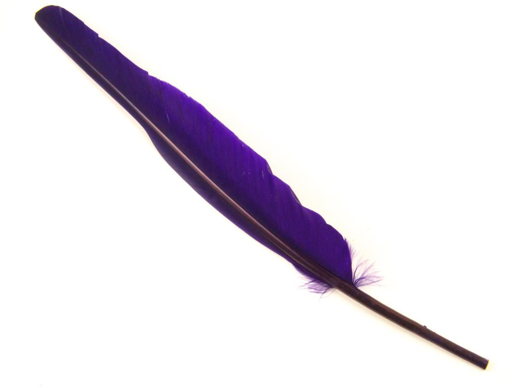 Bulk Goose Quill Feather