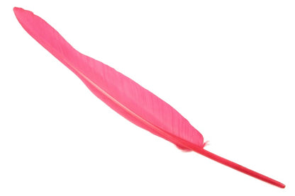 Bulk Goose Quill Feather