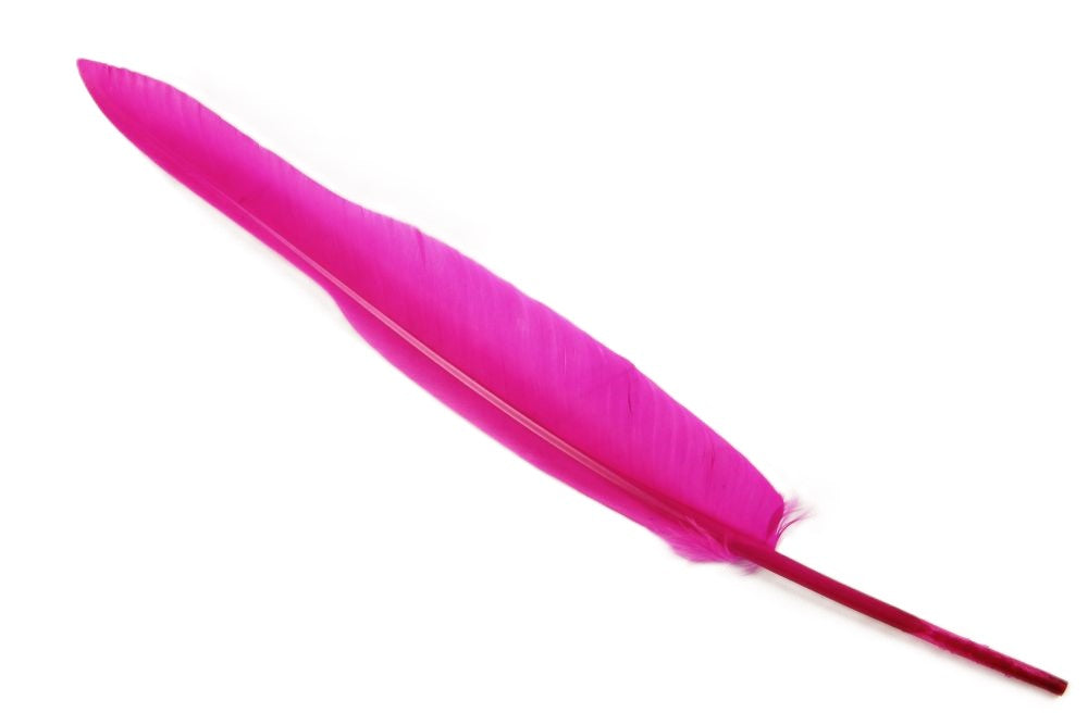 Bulk Goose Quill Feather