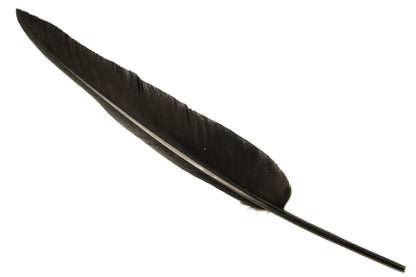 Authentic Goose Quill Pen