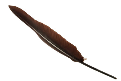 Authentic Goose Quill Pen