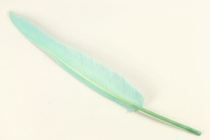 Goose Quill Feather Pens