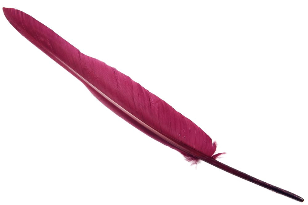 Goose Quill Feather Pens
