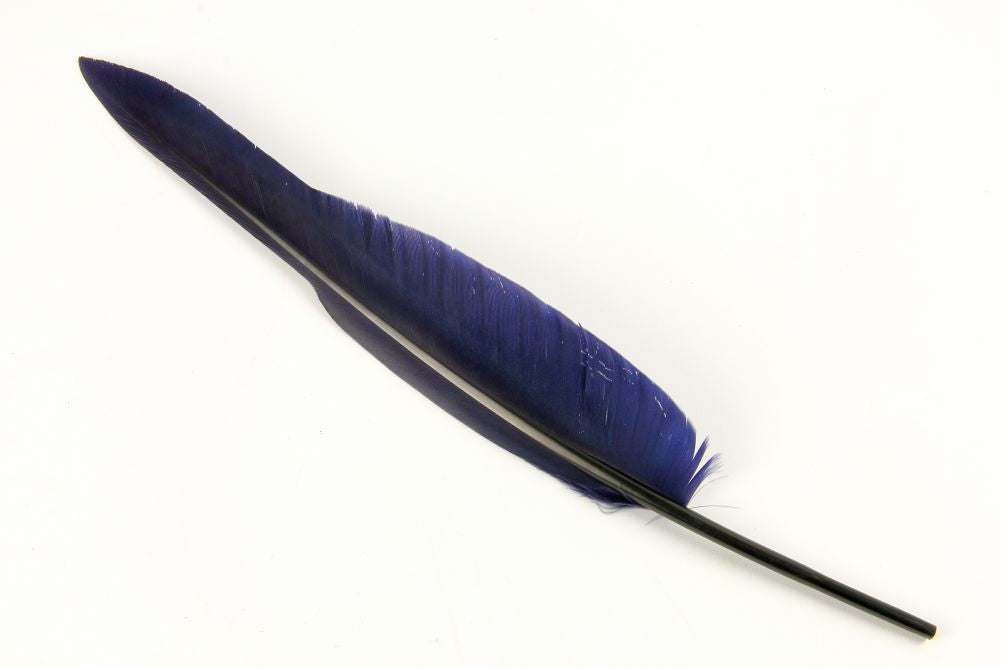 Goose Quill Feather Pens